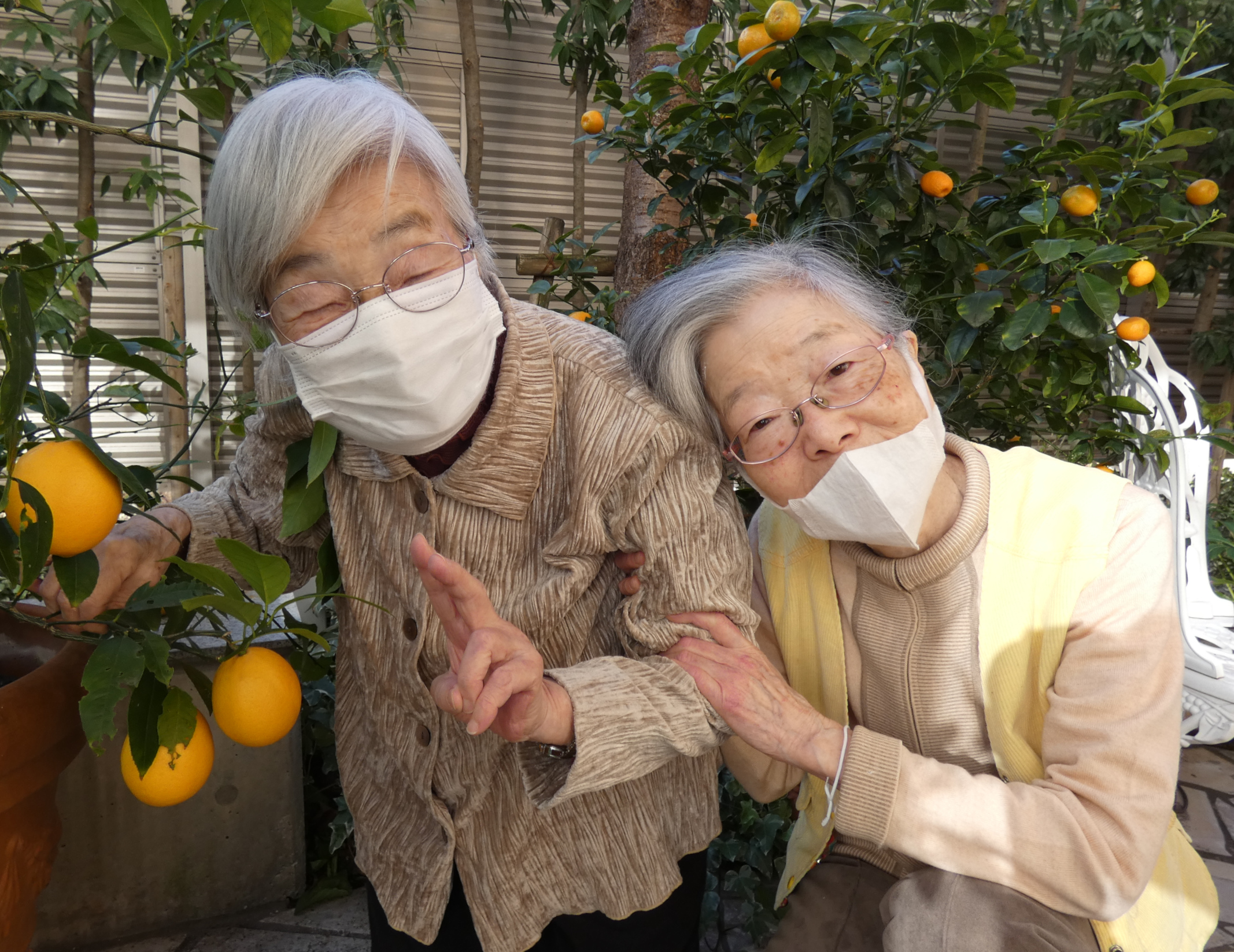 ニチイメゾン北豊島レモン5