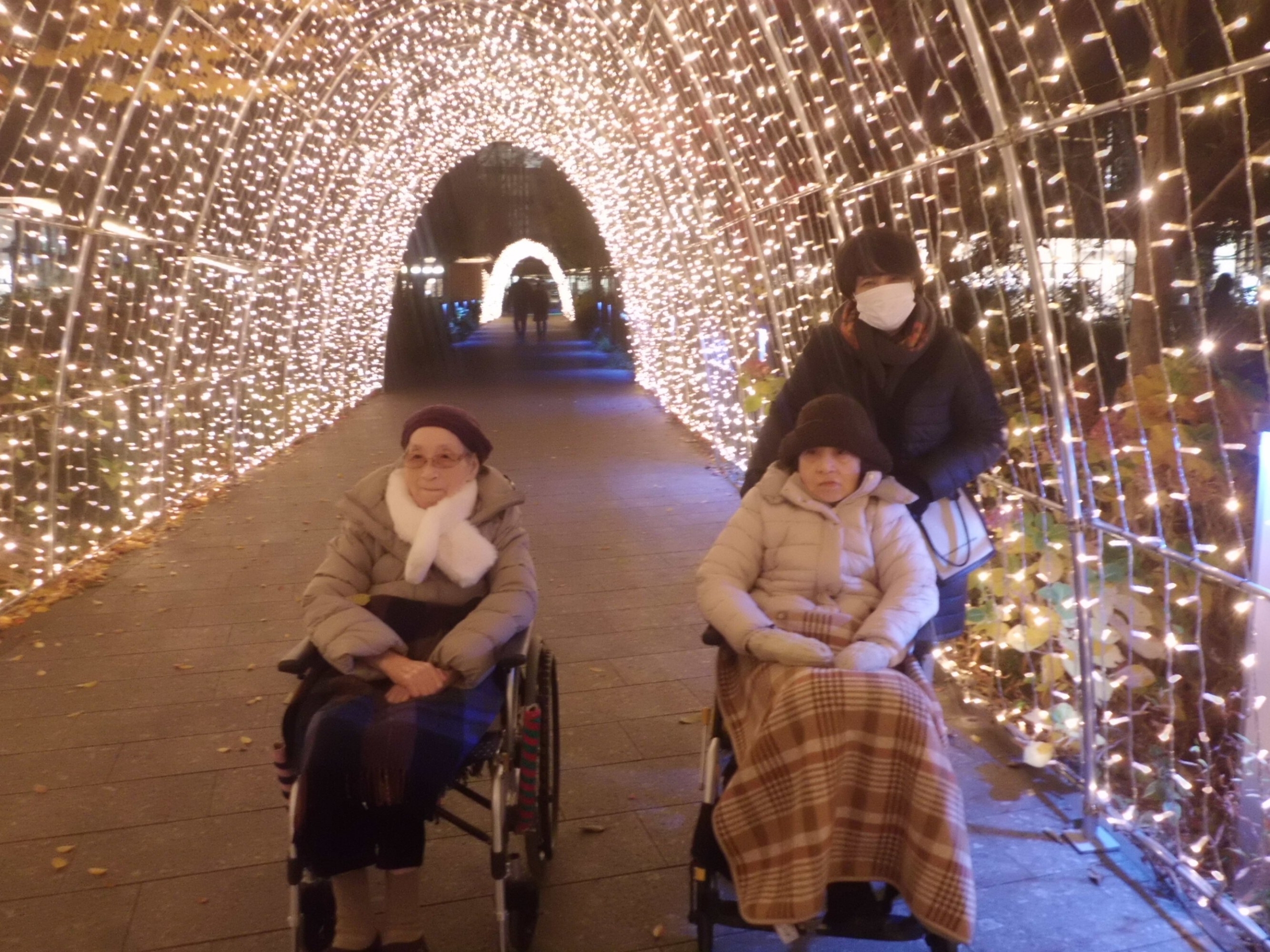 イルミネーション見学-2　ニチイホーム昭島昭和の森