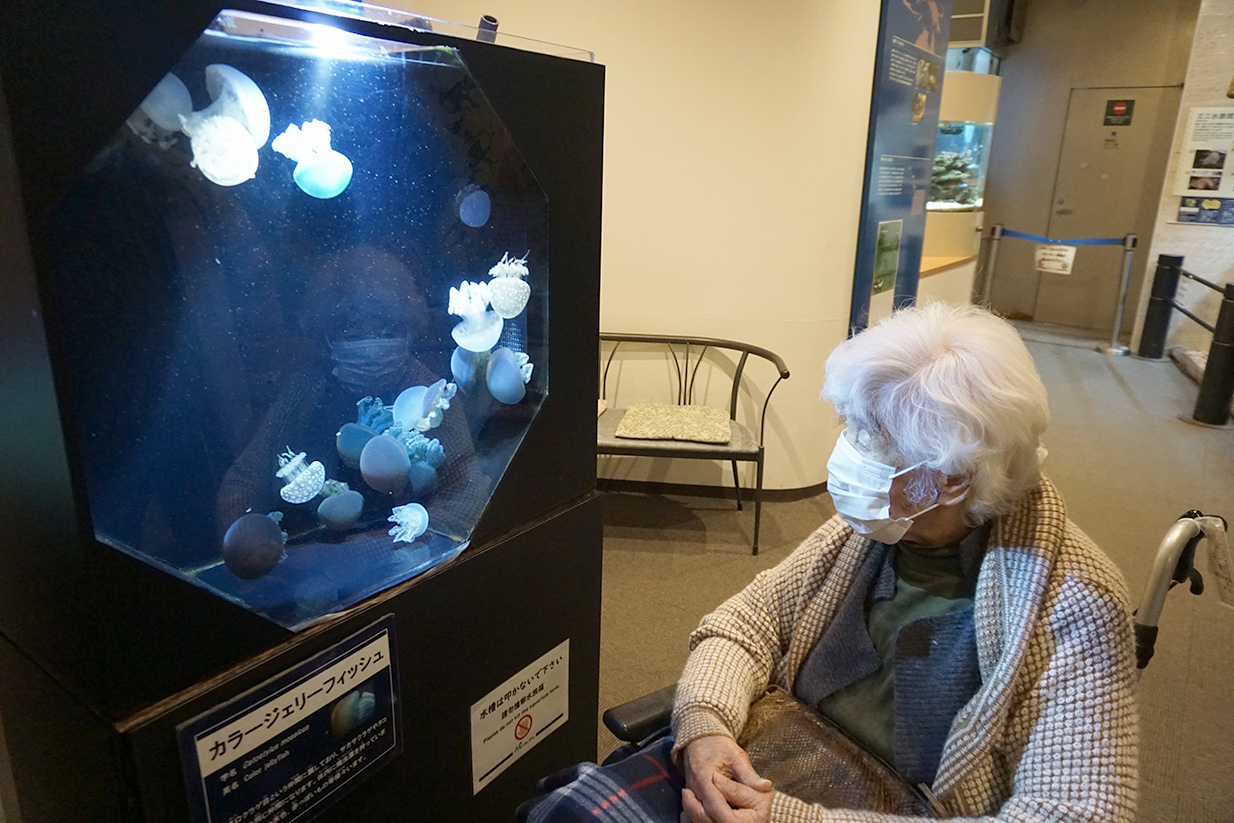 熱帯環境植物館に行ってきました-2 ニチイホーム練馬高野台