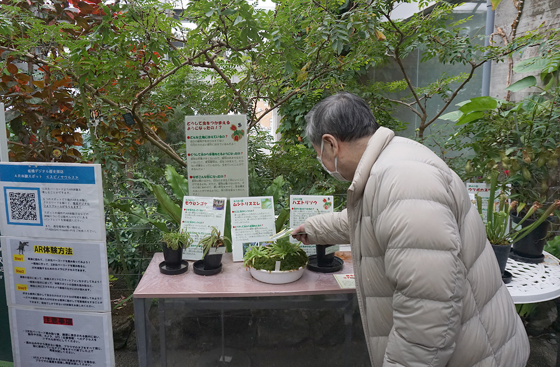熱帯環境植物館に行ってきました-4 ニチイホーム練馬高野台