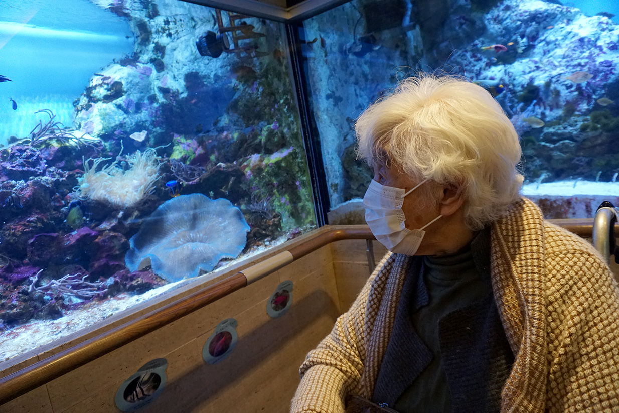 熱帯環境植物館に行ってきました-6 ニチイホーム練馬高野台