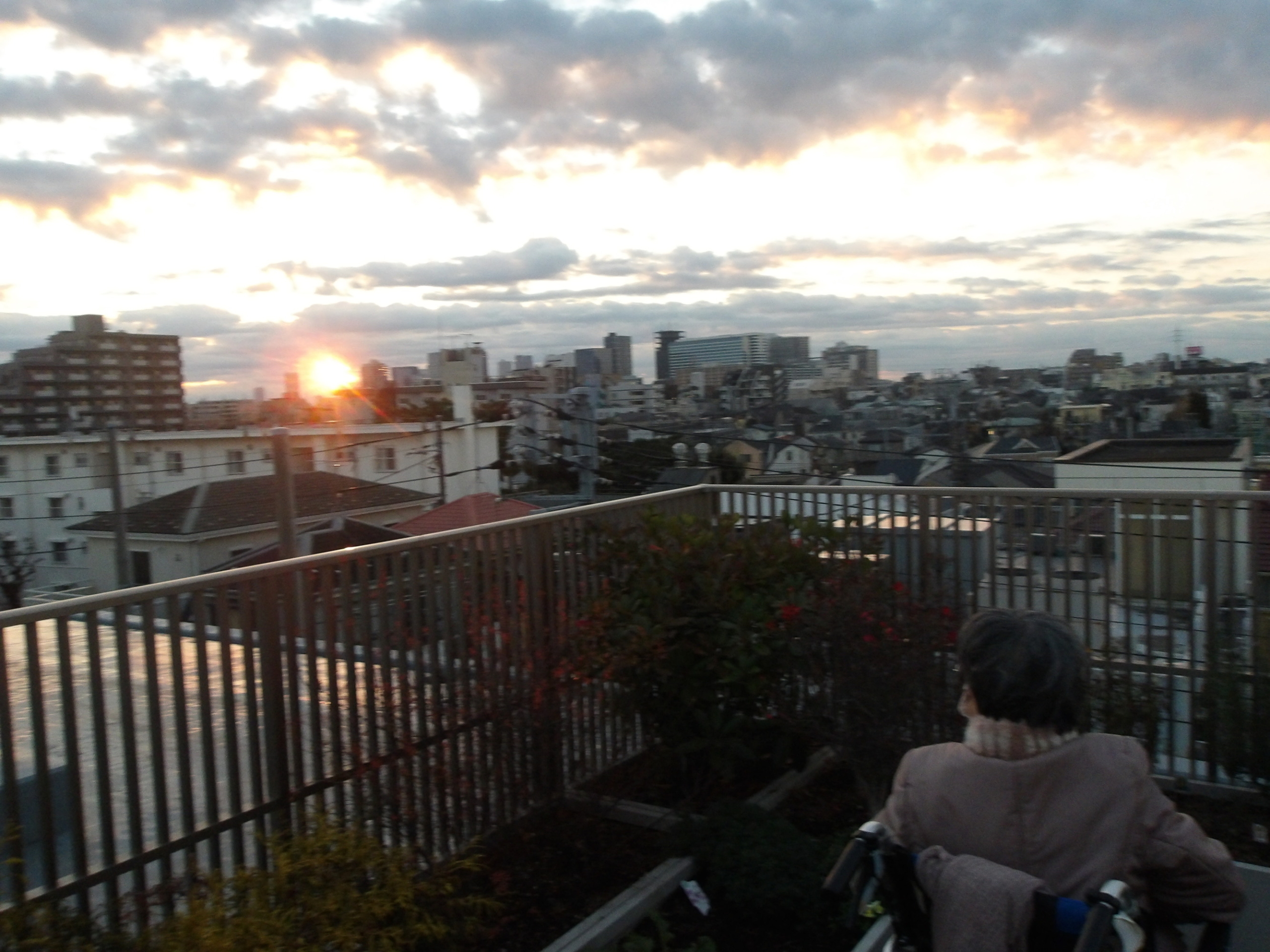 初日の出2026-5　ニチイホーム野方