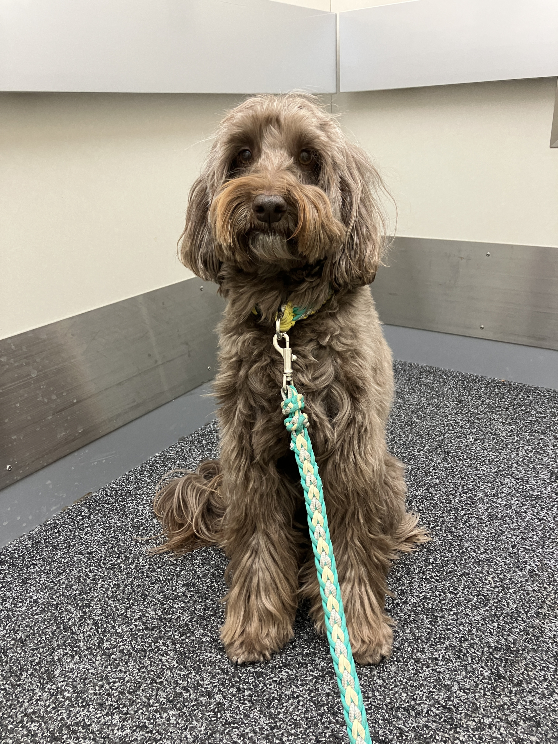 ニチイホーム杉並松庵のエル君１