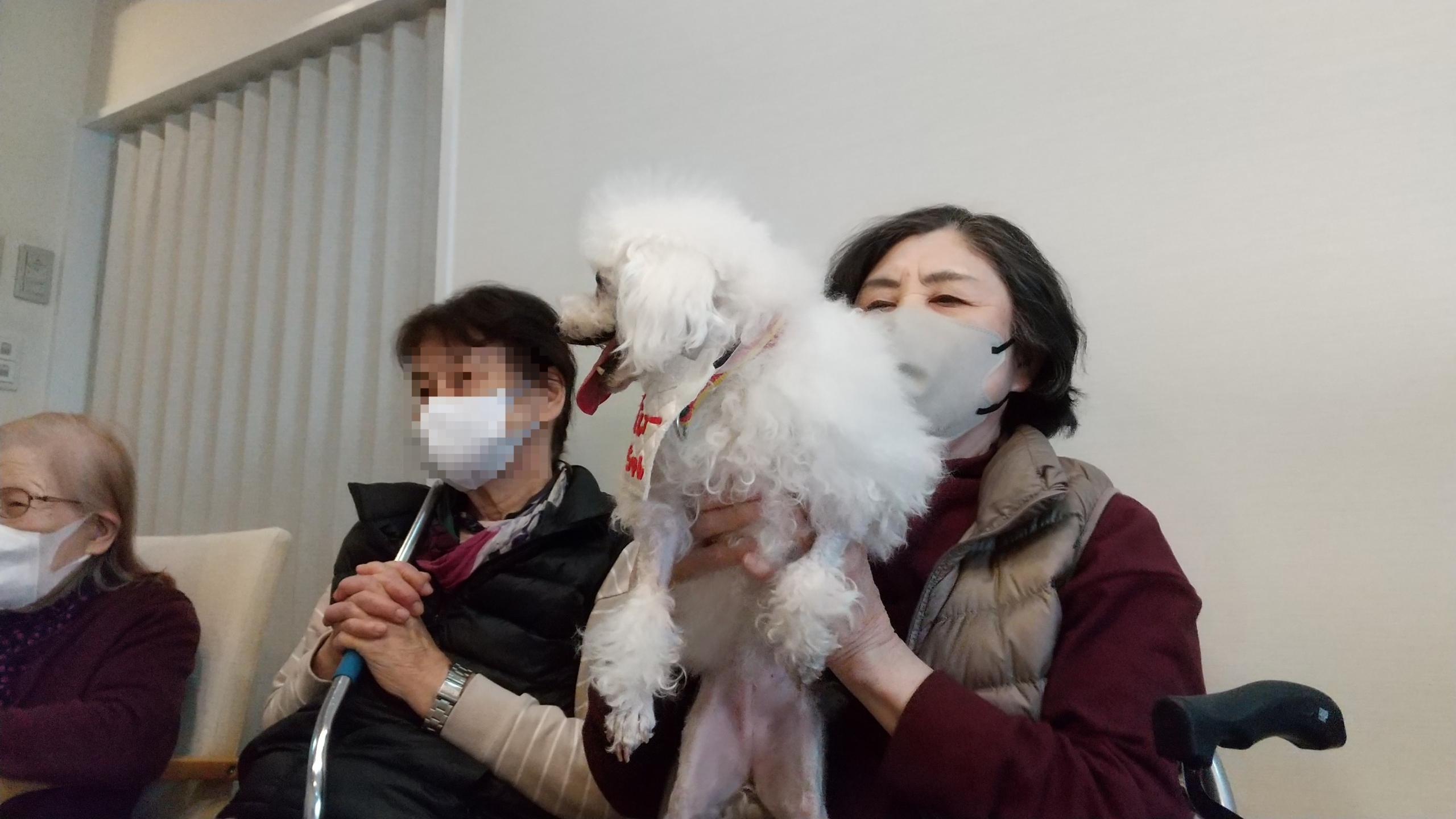 ニチイメゾン鉢塚のドッグセラピー3