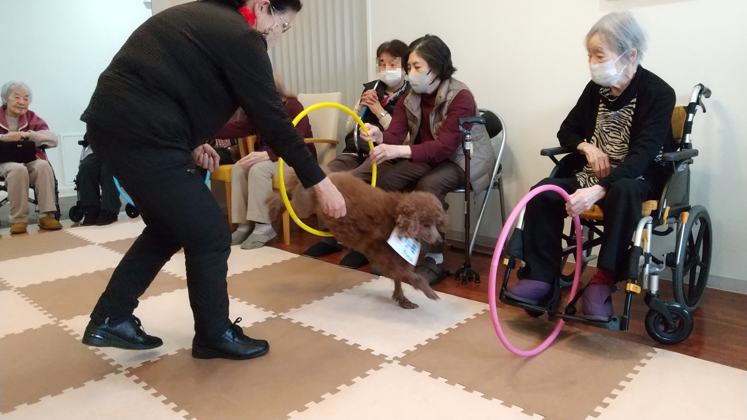ニチイメゾン鉢塚のドッグセラピー４