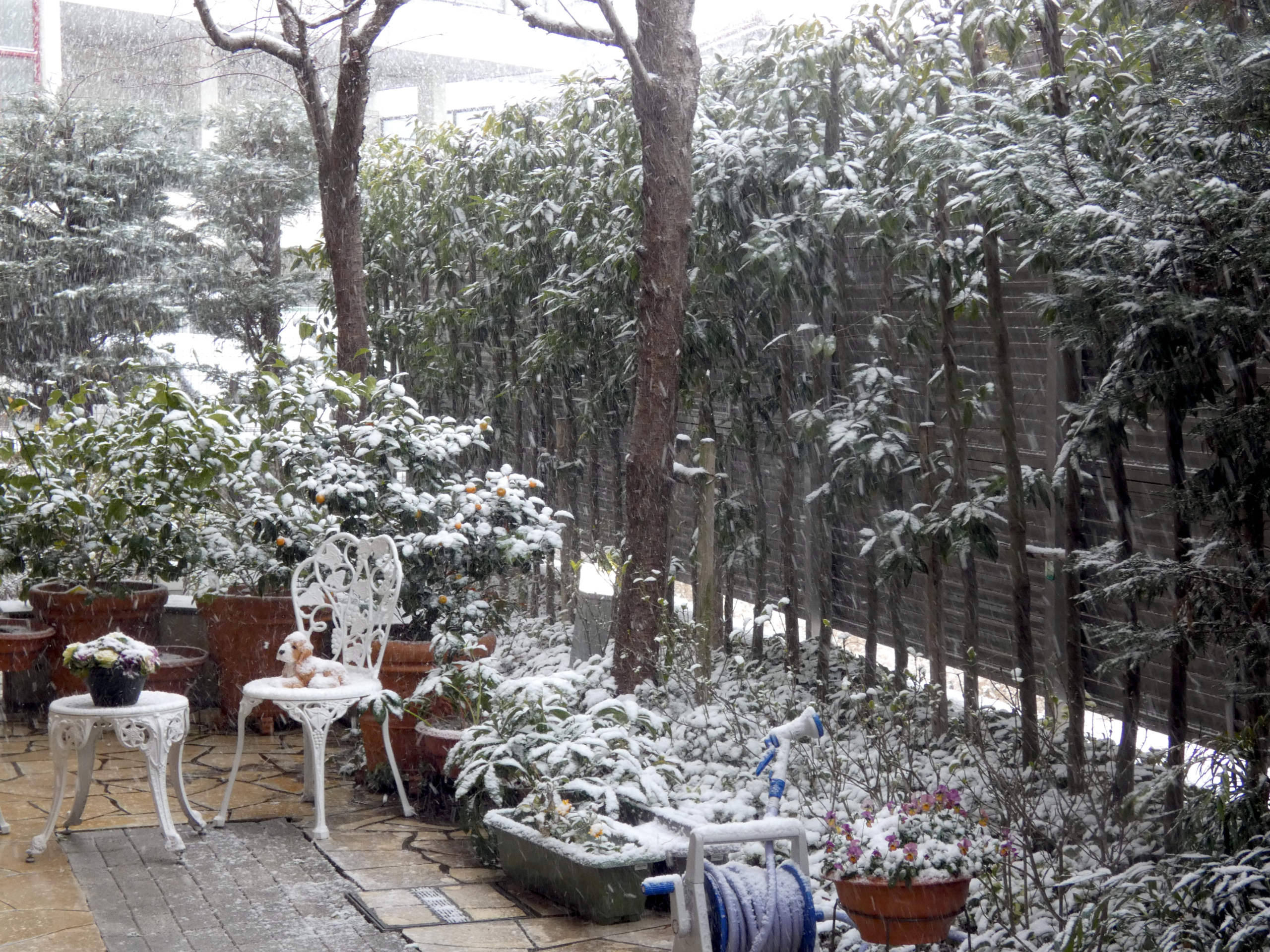 ニチイメゾン北豊島の雪景色１