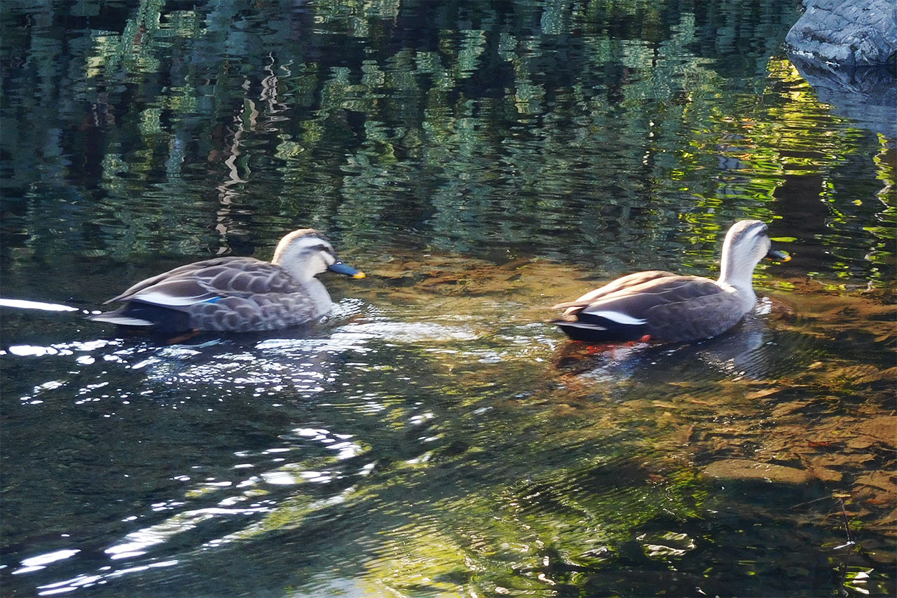 外気浴で楽しいお散歩-2 ニチイホーム立川