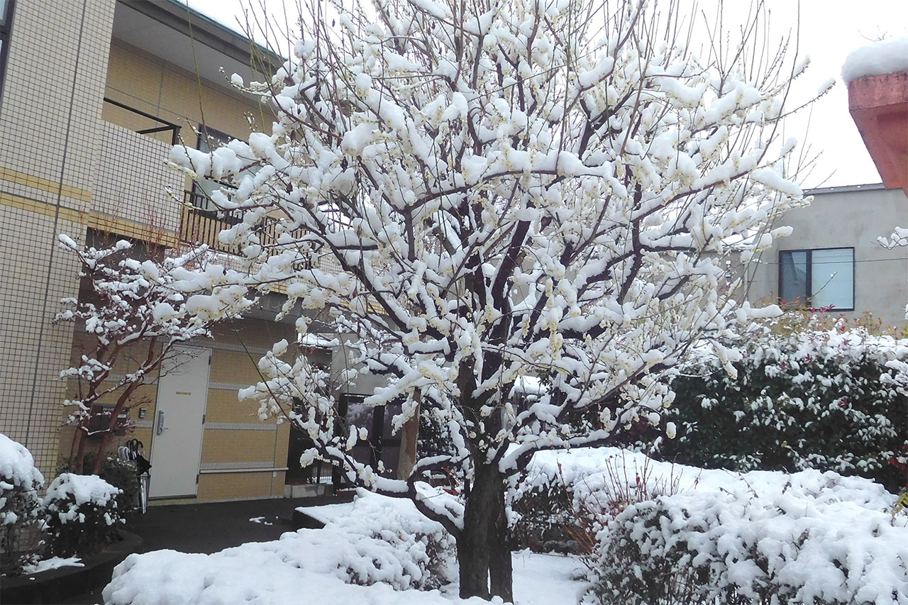 雪だるま-1 ニチイホーム立川