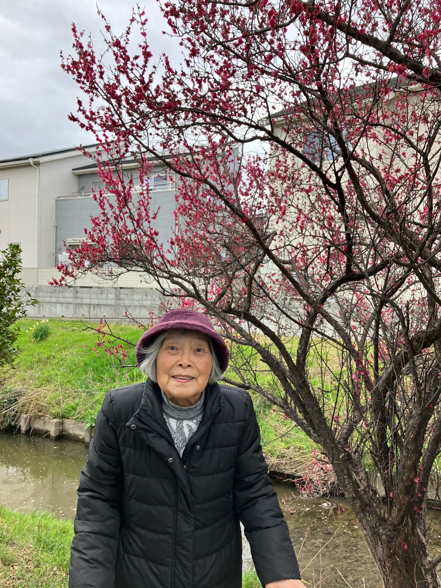 ニチイメゾン栗東のお散歩20260301_１