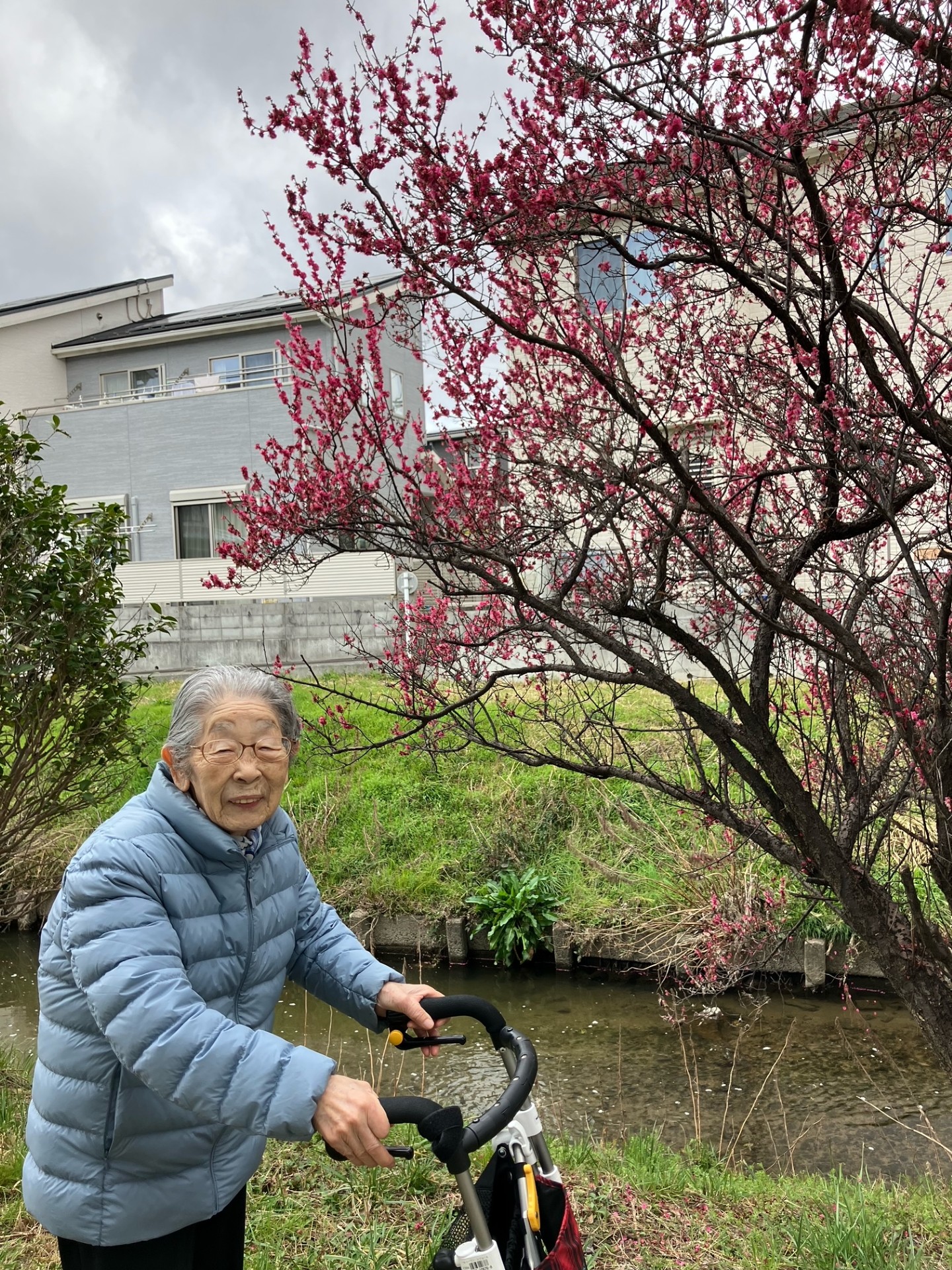 ニチイメゾン栗東のお散歩20260301_２