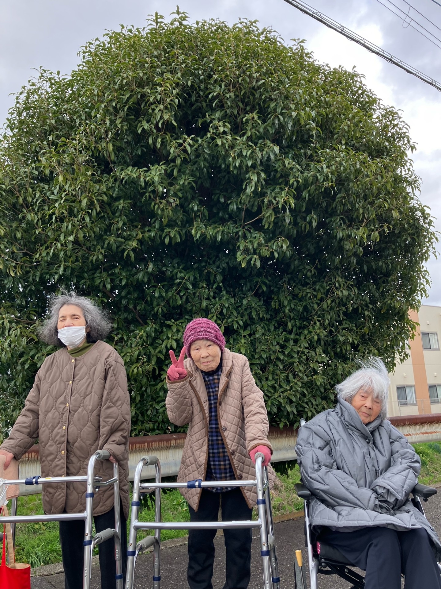 ニチイメゾン栗東のお散歩20260301_３