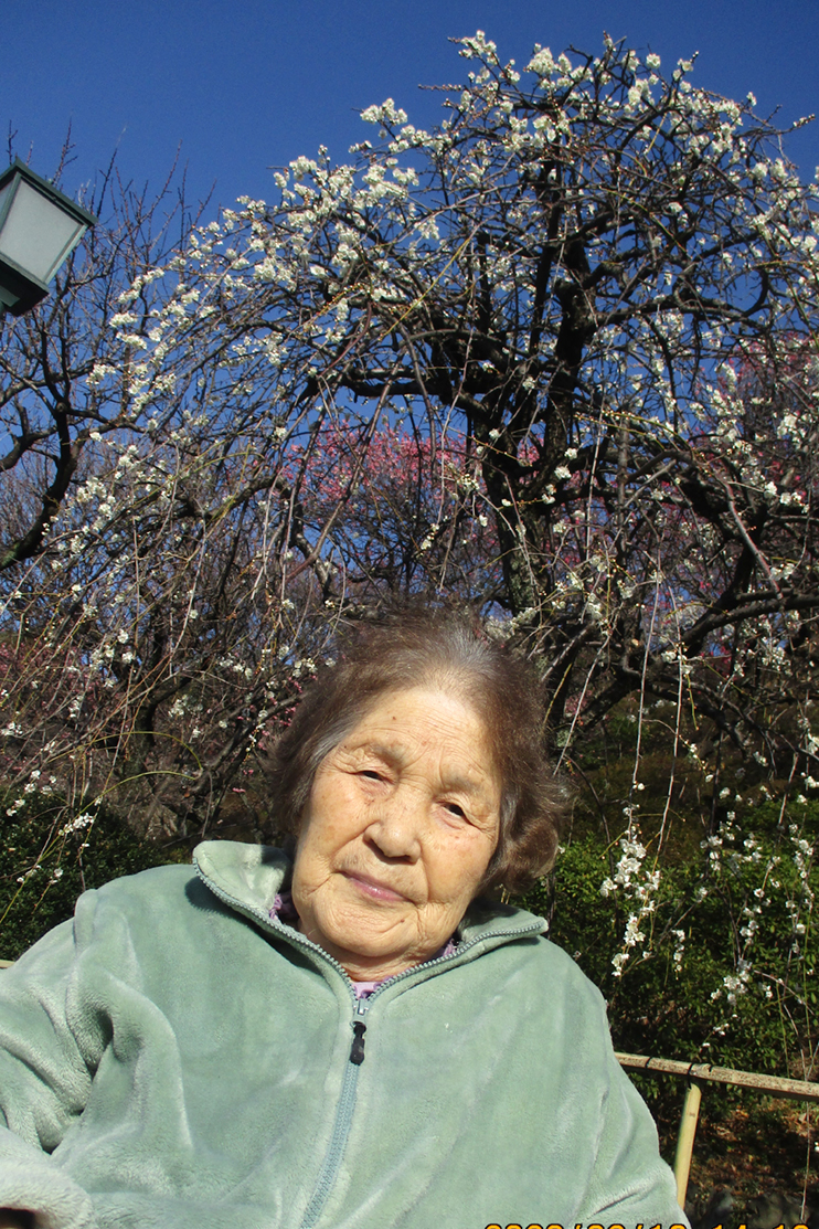 梅の花鑑賞-3 ニチイホーム久が原